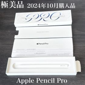 極美品 付属品有り Apple Pencil Pro MX2D3ZA/A