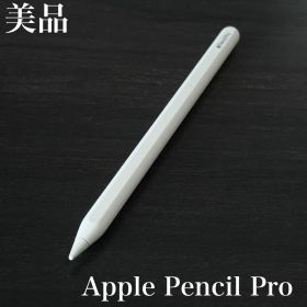 美品 Apple Pencil Pro アップルペンシル MX2D3ZA/A