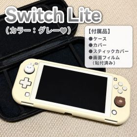 Nintendo Switch Lite 本体 ケース付き