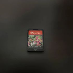 動作確認済み Nintendo Switch スプラトゥーン2 ソフト