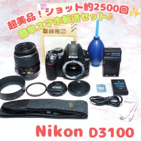 ✨Nikon D3100✨ショット極少 美品 スマホ転送 すぐ使える 初心者