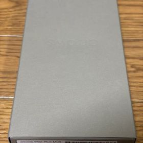 新品 arrows We2 Plus M06 シャンパンシルバー
