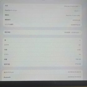 iPad pro 11 インチ M5 58回充電 保証あり