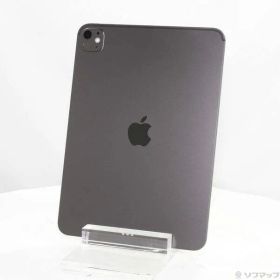 ソフマップ 〔中古品〕 iPad Pro 11インチ(M5) 標準ガラス 256GB スペースブラック MDWK4J／A Wi-Fi【258】