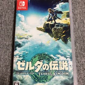 ゼルダの伝説 ティアーズ オブ ザ キングダム Switch