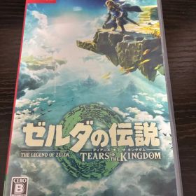 ゼルダの伝説 ティアーズ オブ ザ キングダム Switch