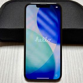 iPhone 13 Pro 256GB (本体•元箱付き)