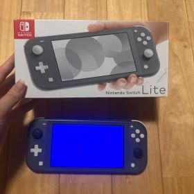 Nintendo Switch Lite 本体 グレー ジャンク品