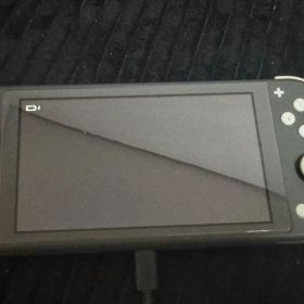 Nintendo Switch Lite 本体 グレー 充電器付き 付属品完品