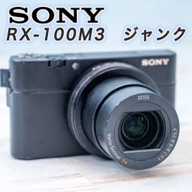 SONY デジタルカメラ サイバーショット DSC-RX100M3 ジャンク品