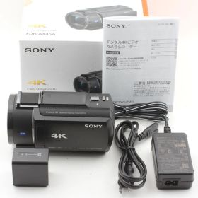 SONY ソニー FDR-AX45A