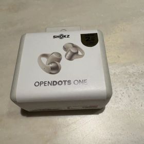 新品未使用 SHOKZ OpenDots ONE ワイヤレスイヤホン (グレー)