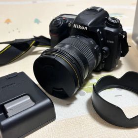 Nikon D7500 SIGMA 17-70mm F2.8-4 動作確認済み