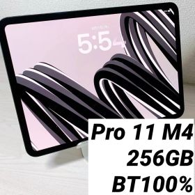 iPad Pro 11インチ M4 256GB BT100%