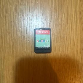 あつまれ どうぶつの森 Nintendo Switch ソフト