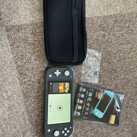 Nintendo Switch Lite 本体 グレー