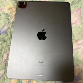 【早い者勝ち】iPad Pro 11インチ 第2世代 256GB 【すぐ発送】