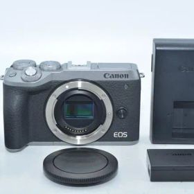 1133★良品・ショット数7000回以下★Canon ミラーレス一眼カメラ EOS M6 Mark II ボディ