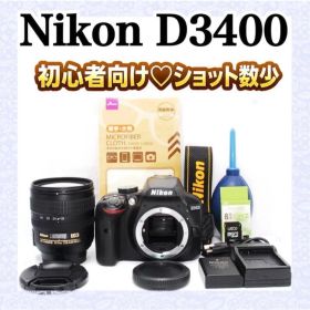 ⭐️ショット数少⭐️Nikon D3400 ニコン デジタル一眼レフカメラ 人気