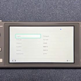 Nintendo Switch Lite 本体 グレー