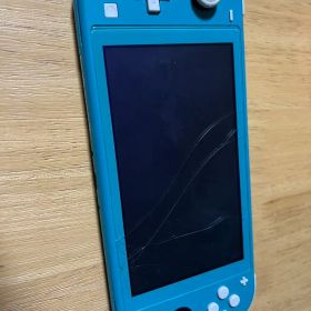 Nintendo Switch Lite どうぶつの森 本体のみ ジャンク品