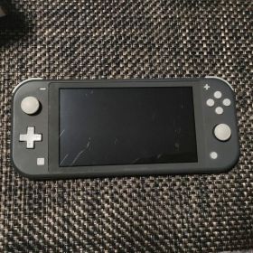 ニンテンドースイッチライト グレー 本体