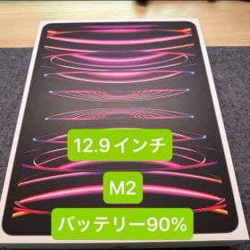 iPad Pro 第6世代 M2 12.9インチ スペースグレー 極美品
