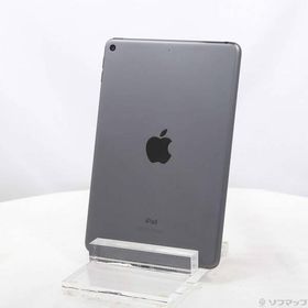 〔中古〕Apple(アップル) iPad mini 第5世代 64GB スペースグレイ MUQW2J／A Wi-Fi〔258-ud〕