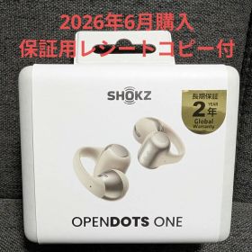 【新品・未開封】Shokz OpenDots ONE グレー