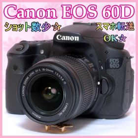 ⭐️ショット数少⭐️Canon EOS 60D キャノン デジタル一眼レフ