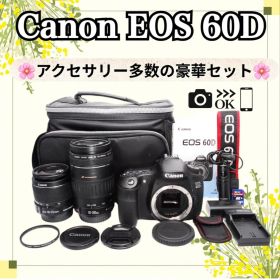 ✨瞬間を見逃さない高速連射✨CANON EOS 60D✨ダブルレンズ✨キヤノン