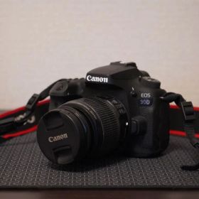 Canon EOS 90D 本体 レンズキット