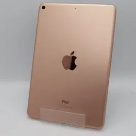 【中古】Apple 【Wi-Fi】 iPad mini（第5世代/2019） 64GB ゴールド MUQY2J/A【大須アメ横】保証期間１ヶ月【ランクC】