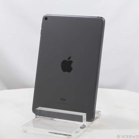 (中古)Apple iPad mini 第5世代 256GB スペースグレイ MUU32J/A Wi-Fi(258-ud)