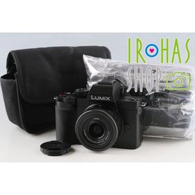 Panasonic LUMIX DC-G100D + G Vario 12-32mm F3.5-5.6 ASPH. MEGA O.I.S. #64904E4