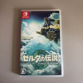 ゼルダの伝説 ティアーズ オブ ザ キングダム Switch