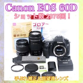 Canon EOS 60D◆ショット数少なめ◆ハイアマチュア機◆一眼レフカメラ◆