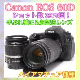ショット数少なめ◆Canon EOS 60D◆ハイアマチュア機◆一眼レフカメラ◆