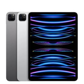 Apple iPad Pro 11inch 4世代 本体 最大容量89%