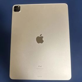 Apple 12.9インチ iPad Pro 第5世代 256GB 美品