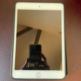 iPad mini 5 Wi-Fiモデル 64GB 美品