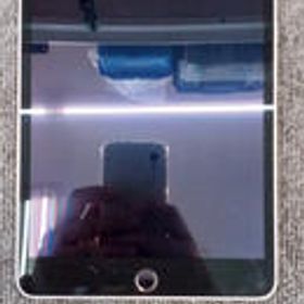 I PAD MINI4 MK9N2J/A APPLE