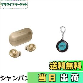 【送料無料】テクニクス Technics ワイヤレスイヤホン EAH-AZ100-K ブラック ノイズキャンセリング 3台マルチポイント ハイレゾ音質再生