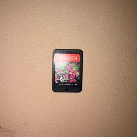 Nintendo Switchスプラトゥーン 2 ソフト