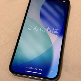 極美品 Apple iPhone 13 Pro 256G