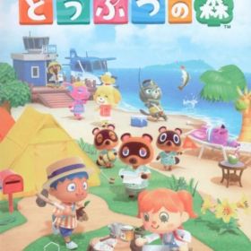 NS あつまれ どうぶつの森
