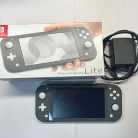 Nintendo Switch Lite グレー+付属品