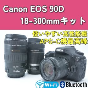 動作確認済みCanon EOS 90D 手ぶれ補正レンズ 300mm超望遠 美品