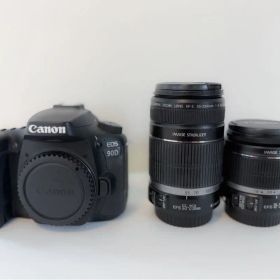 EOS 90D 本体&純正ズームレンズ2種&バッテリー/カバー