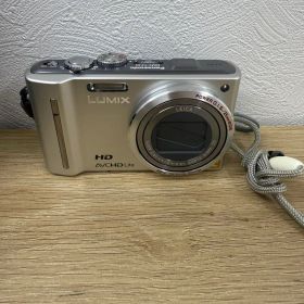 Panasonic LUMIX DMC-TZ10 GPS付 動作品